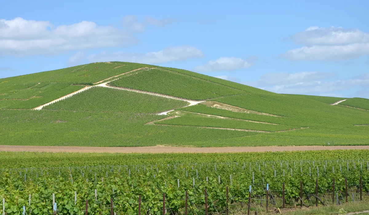 Rachat voiture à Aÿ-Champagne (51)