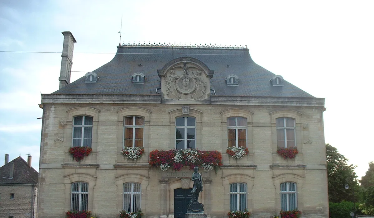 Rachat voiture à Brienne-le-Château (10)
