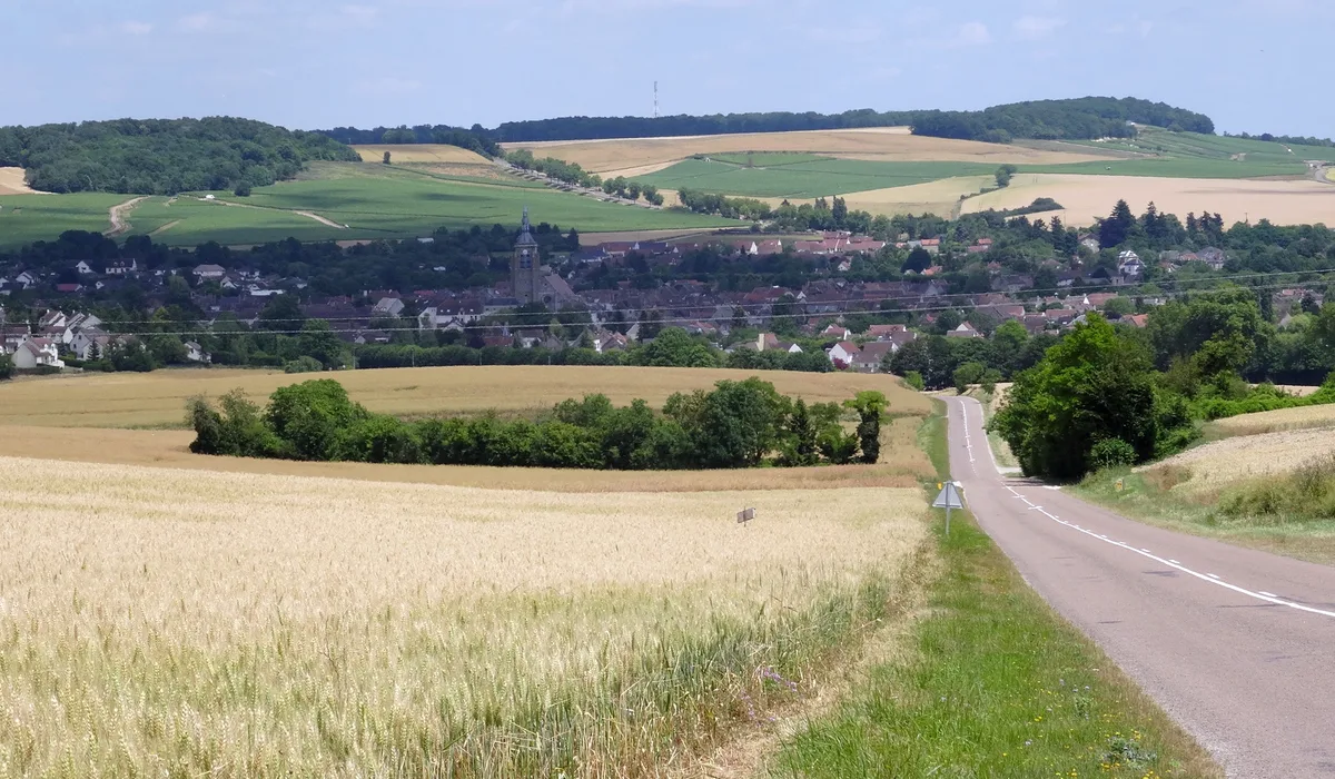 Rachat voiture à Villenauxe-la-Grande (10)